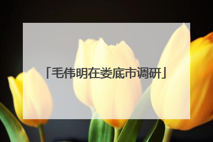 毛伟明在娄底市调研
