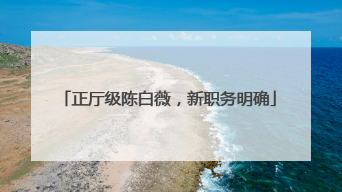 正厅级陈白薇，新职务明确