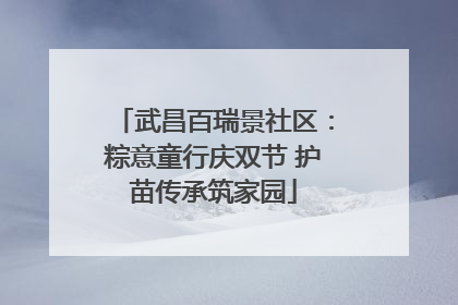 武昌百瑞景社区：粽意童行庆双节 护苗传承筑家园