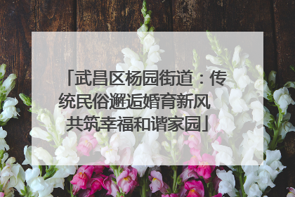 武昌区杨园街道：传统民俗邂逅婚育新风 共筑幸福和谐家园