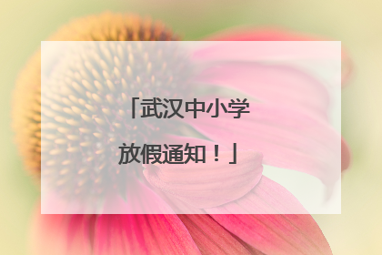 武汉中小学放假通知！