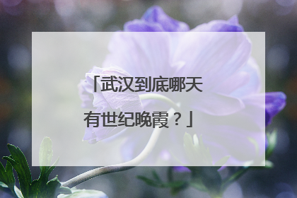 武汉到底哪天有世纪晚霞？