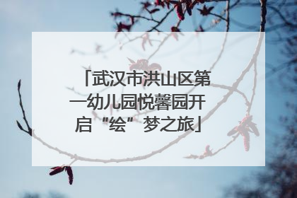 武汉市洪山区第一幼儿园悦馨园开启“绘”梦之旅