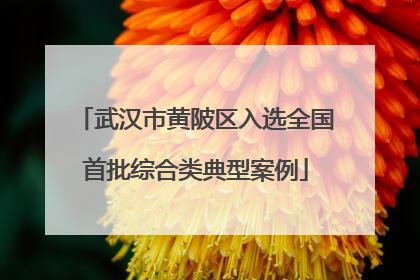 武汉市黄陂区入选全国首批综合类典型案例