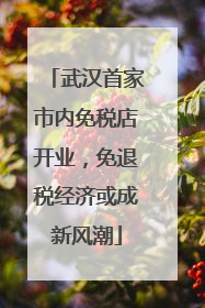 武汉首家市内免税店开业，免退税经济或成新风潮