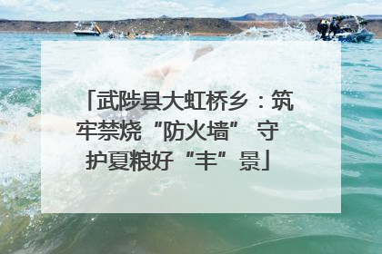 武陟县大虹桥乡：筑牢禁烧“防火墙” 守护夏粮好“丰”景