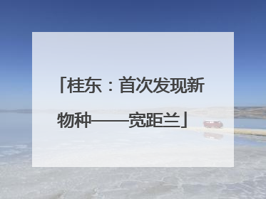 桂东：首次发现新物种——宽距兰