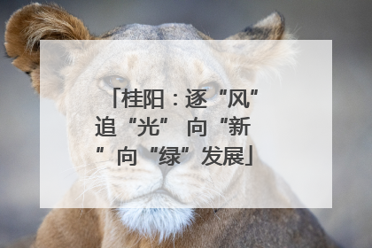 桂阳：逐“风”追“光” 向“新”向“绿”发展