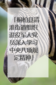 桐柏县清淮街道组织退役军人党员深入学习中央八项规定精神