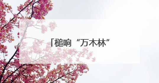 槌响“万木林”｜“天平杯·随手拍”作品展播