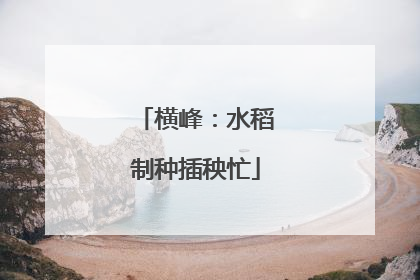 横峰：水稻制种插秧忙