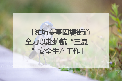 潍坊寒亭固堤街道全力以赴护航“三夏”安全生产工作