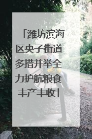 潍坊滨海区央子街道多措并举全力护航粮食丰产丰收