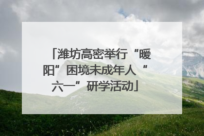 潍坊高密举行“暖阳”困境未成年人“六一”研学活动