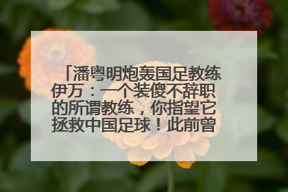 潘粤明炮轰国足教练伊万：一个装傻不辞职的所谓教练，你指望它拯救中国足球！此前曾多次发文评价国足