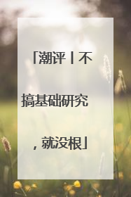 潮评丨不搞基础研究，就没根