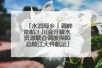 水润蜀乡丨调峰助航！川渝开展水资源联合调度保障嘉陵江大件航运
