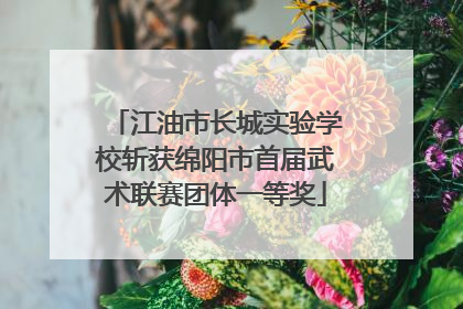 江油市长城实验学校斩获绵阳市首届武术联赛团体一等奖