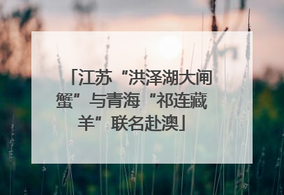 江苏“洪泽湖大闸蟹”与青海“祁连藏羊”联名赴澳