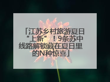 江苏乡村旅游夏日“上新”！9条苏中线路解锁藏在夏日里的N种惊喜