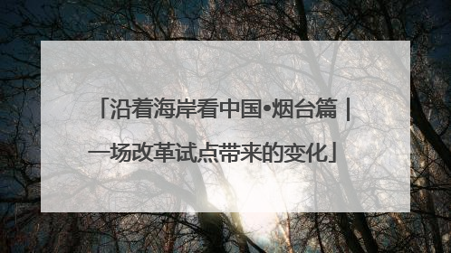 沿着海岸看中国•烟台篇｜一场改革试点带来的变化