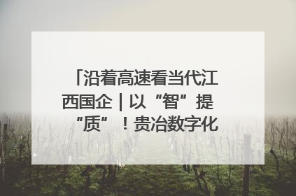 沿着高速看当代江西国企｜以“智”提“质”！贵冶数字化转型迈出新步伐