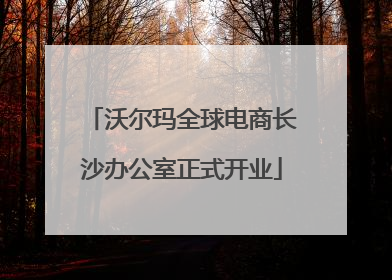 沃尔玛全球电商长沙办公室正式开业