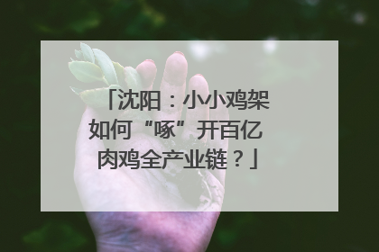 沈阳：小小鸡架如何“啄”开百亿肉鸡全产业链？