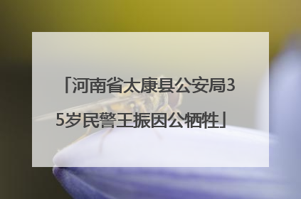 河南省太康县公安局35岁民警王振因公牺牲