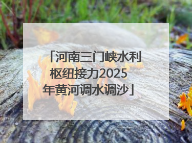 河南三门峡水利枢纽接力2025年黄河调水调沙