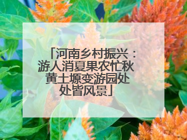 河南乡村振兴：游人消夏果农忙秋 黄土塬变游园处处皆风景