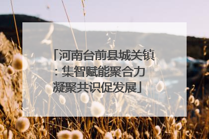 河南台前县城关镇：集智赋能聚合力 凝聚共识促发展