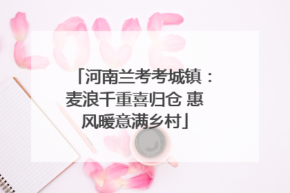 河南兰考考城镇：麦浪千重喜归仓 惠风暖意满乡村