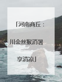 河南商丘：川金丝猴消暑享清凉