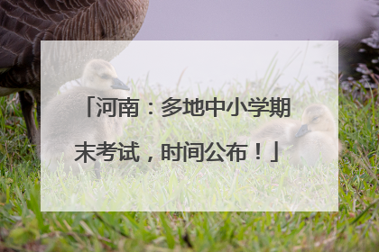 河南：多地中小学期末考试，时间公布！
