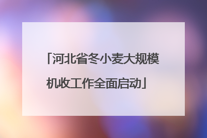 河北省冬小麦大规模机收工作全面启动
