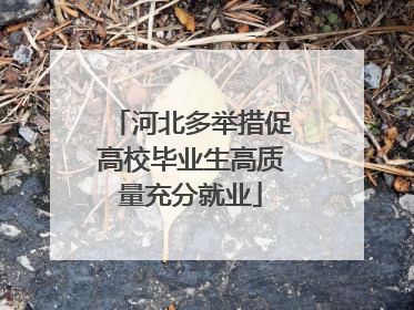 河北多举措促高校毕业生高质量充分就业