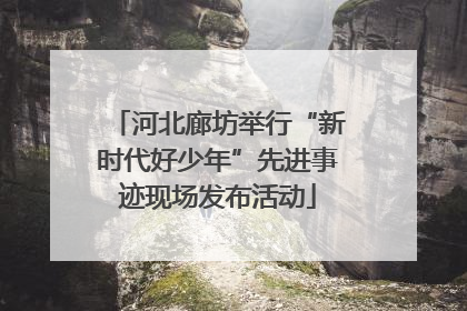 河北廊坊举行“新时代好少年”先进事迹现场发布活动