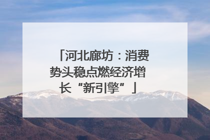 河北廊坊：消费势头稳点燃经济增长“新引擎”