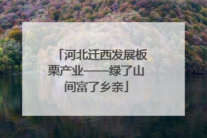 河北迁西发展板栗产业——绿了山间富了乡亲