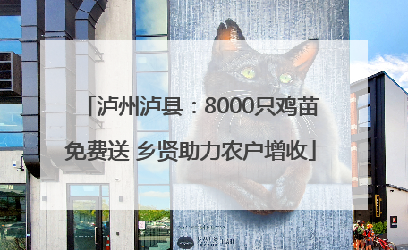 泸州泸县：8000只鸡苗免费送 乡贤助力农户增收