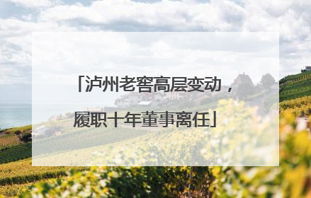 泸州老窖高层变动，履职十年董事离任