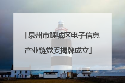 泉州市鲤城区电子信息产业链党委揭牌成立