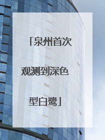 泉州首次观测到深色型白鹭