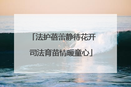 法护蓓蕾静待花开 司法育苗情暖童心