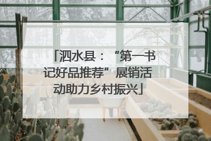 泗水县：“第一书记好品推荐”展销活动助力乡村振兴