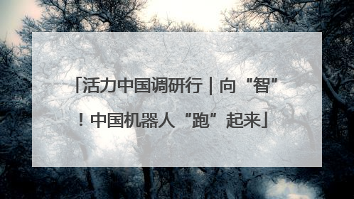 活力中国调研行｜向“智”！中国机器人“跑”起来