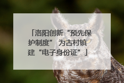 洛阳创新“预先保护制度” 为古村镇建“电子身份证”