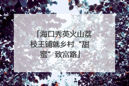 海口秀英火山荔枝王铺就乡村“甜蜜”致富路