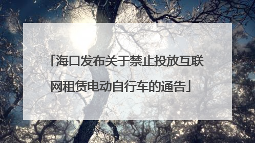 海口发布关于禁止投放互联网租赁电动自行车的通告